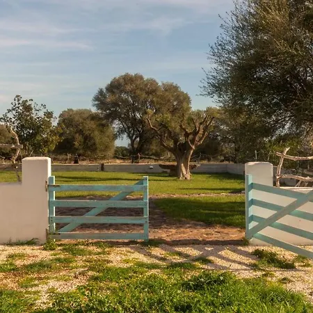 Appartement Welcomely - Casa Oliveto