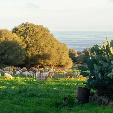 Welcomely - Casa Oliveto Appartement *